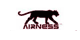 AIRNESS