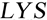 LYS