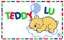 TEDDY LU