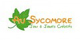 AU SYCOMORE