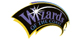 WIZARDS OF THE COAST