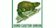 EURO CASTOR GREEN
